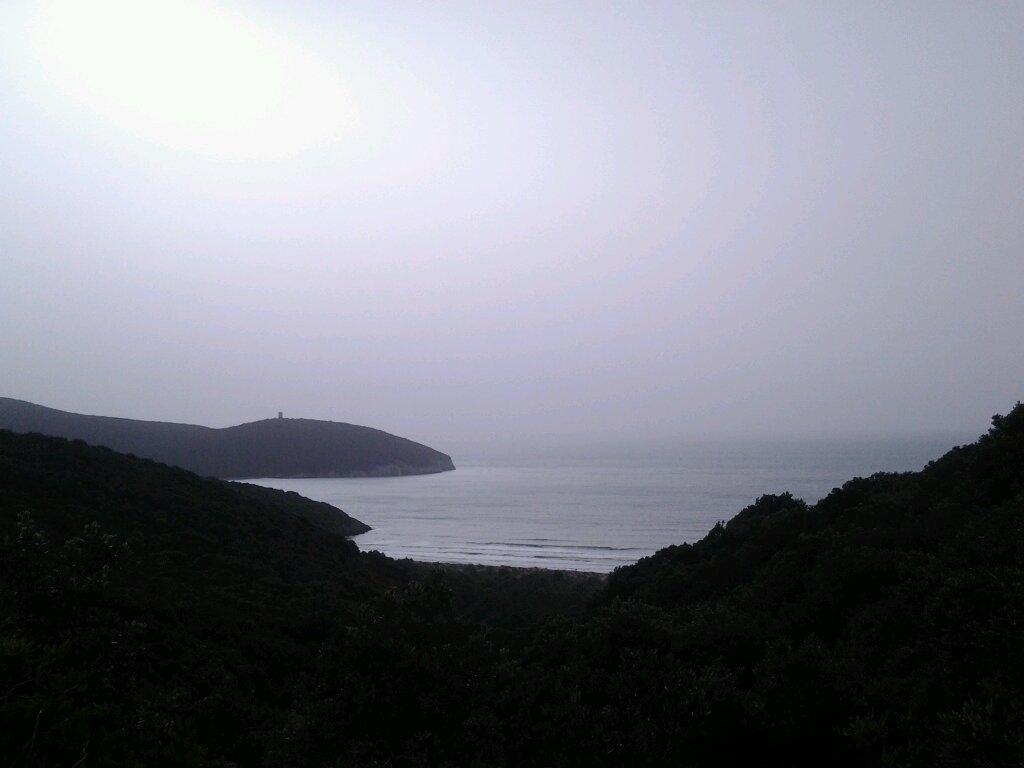 Macchia mediterranea, mare, picnic in buona compagnia... una domenica eccezionale! #maremma #toscana #tribùospitale