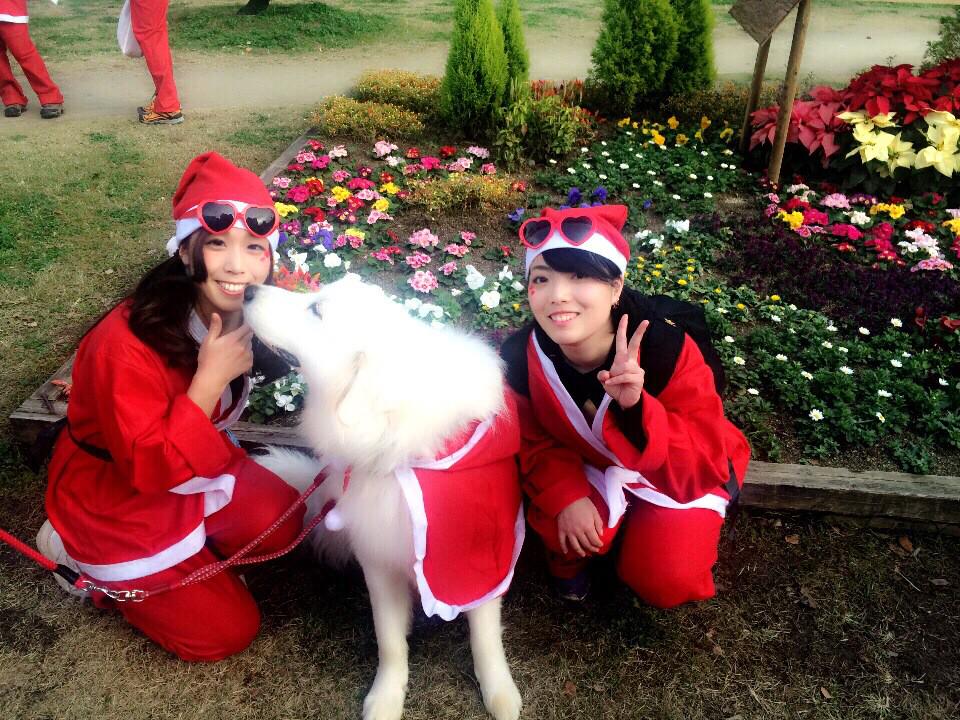 本日のベストショット🐶💋
サンタコス可愛すぎるワンちゃんが
撮る瞬間ちゅっしてくれた💕////
きゅん死💓唾液ついたわ〜。笑
#OsakaGreatSantaRun