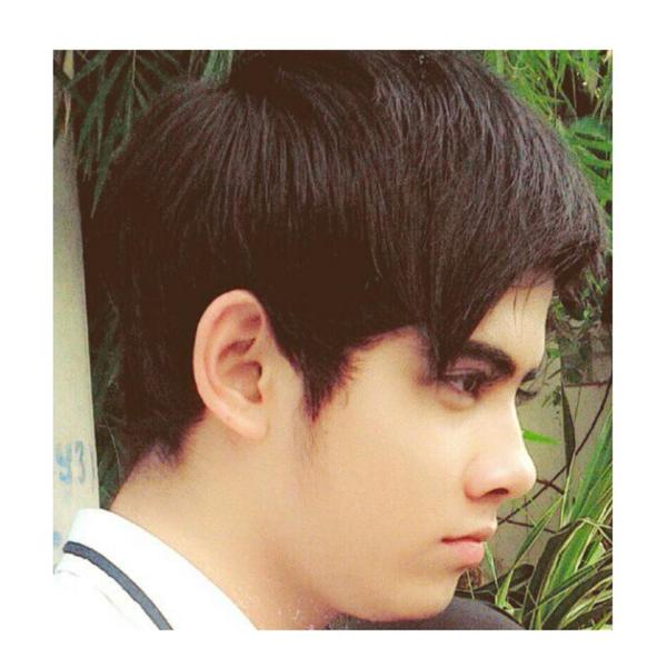 wikiwindow's tweet image. 