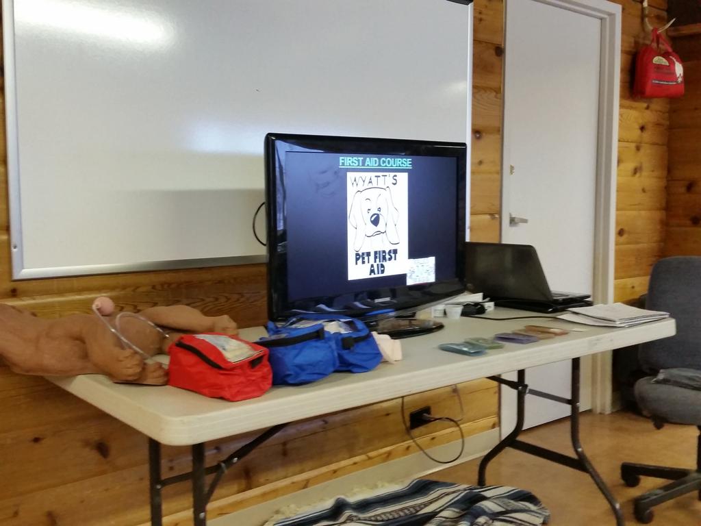 The entire Airdrie Puppy Pals Team is Pet First Aid trained! Thanks <a href="/wyattsfirstaid/">wyatts pet first aid</a>  and <a href="/WNWPetFirstAid/">Walks 'N' Wags PFA</a> #petfirstaid