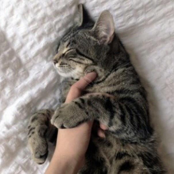 cuddlin