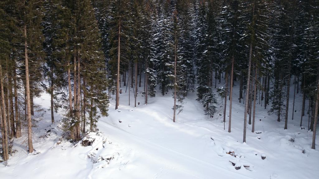 Concours Club tweet media