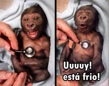 TuiterHits's tweet photo. Ta frio!!!!!!!!!! http://t.co/VaY8n5ZEz5