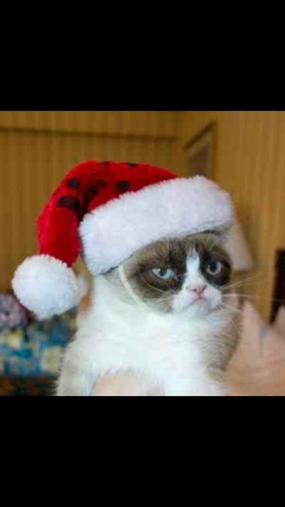 hauntersRus's tweet photo. Haunters during Christmas season be like http://t.co/vniSaMynVN