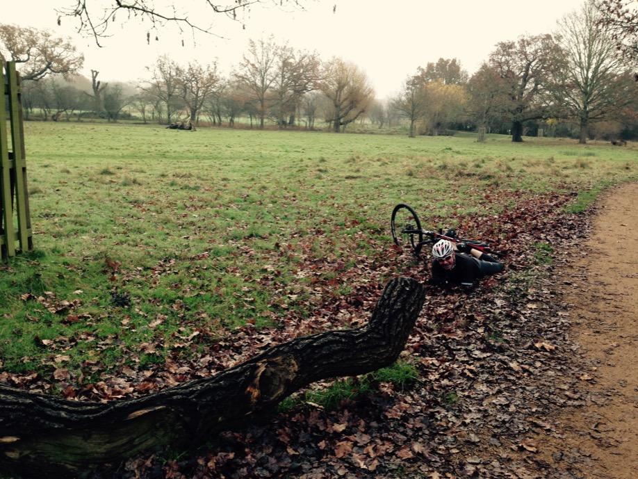 DeBall Bikes tweet media