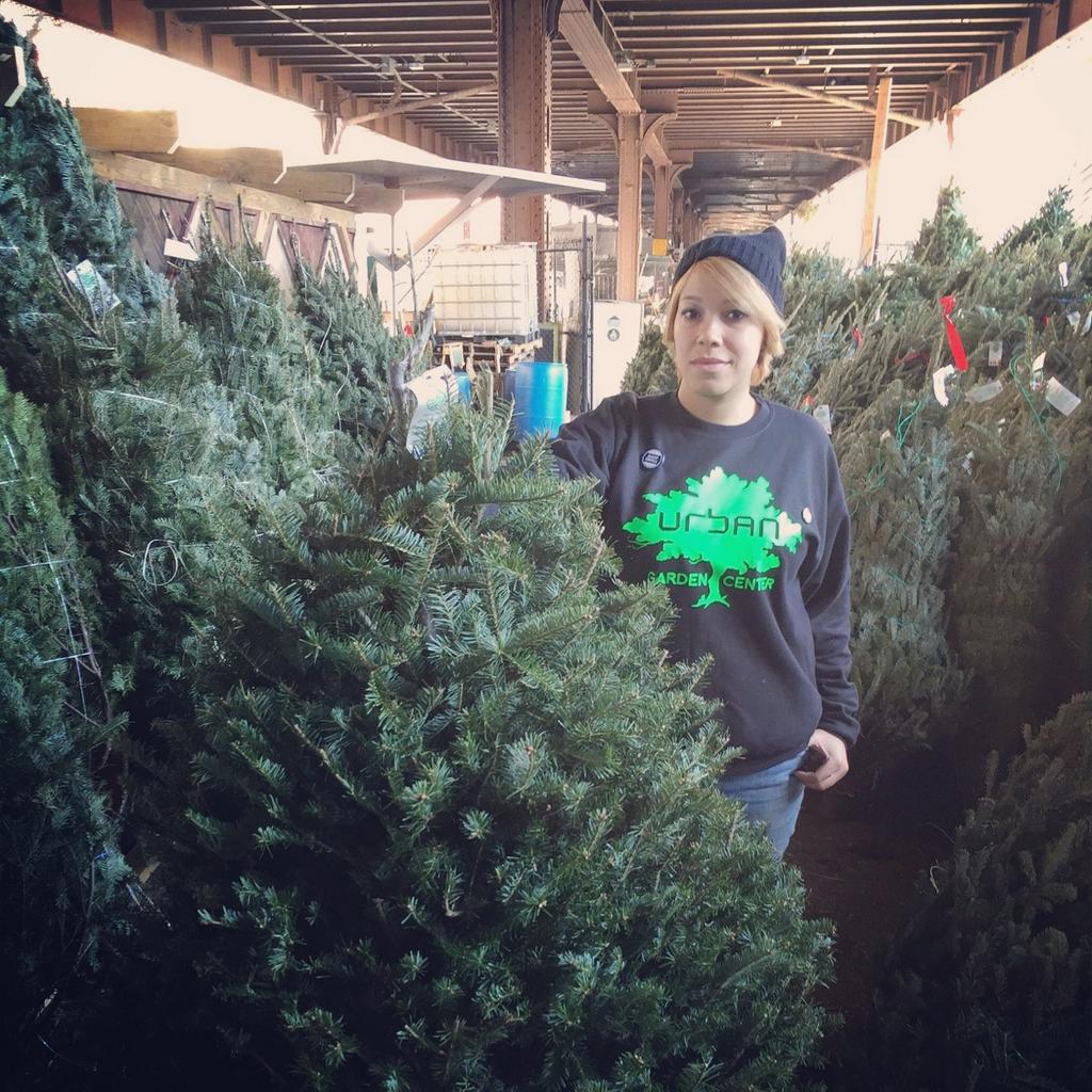 UrbanGardenNYC's tweet image. This week&apos;s  #FREEChristmasTree winner is Michael Murphy!  Thank you for participating in our #shopsmall event!