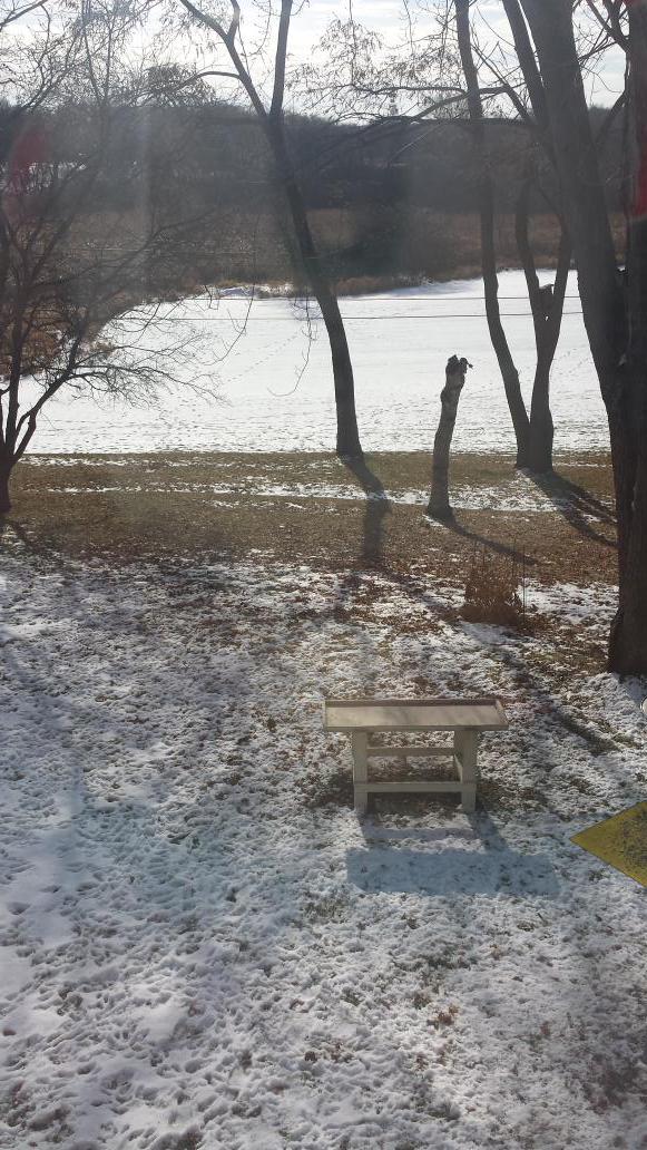 PaigeMariee_'s tweet photo. It's 17 degrees today, so all the snow is melting. #minnesotalogic http://t.co/h7dnA4Jelr