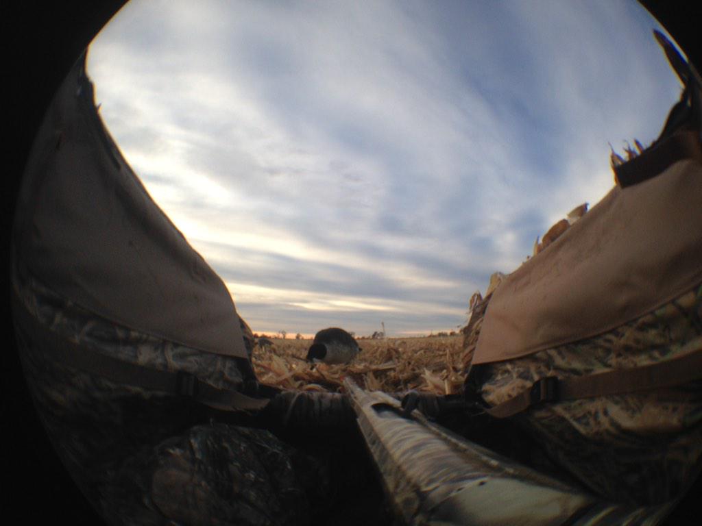 Topcaliberoutdo's tweet photo. Waiting for some birds #Goosehunting  slow day when #mothernature doesn't  corporate with @knukleenergy @quackkeeper http://t.co/rUntRH8Nl4