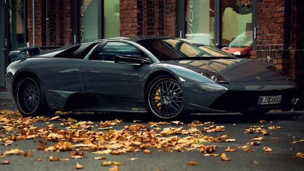 Dream Exotics tweet media