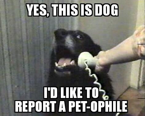 Reid99_Fox's tweet photo. http://t.co/bQ4eEuU0aZ