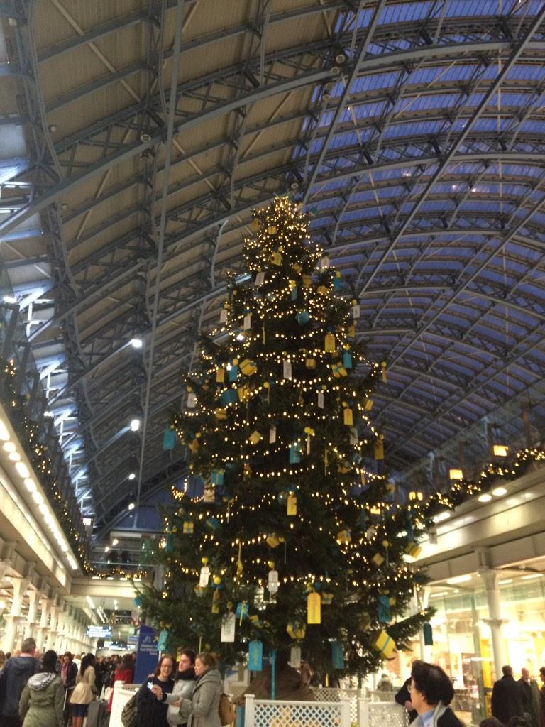 heatherations's tweet photo. It's Christmas time. #dec1st #treetime http://t.co/py0tzuZVwy