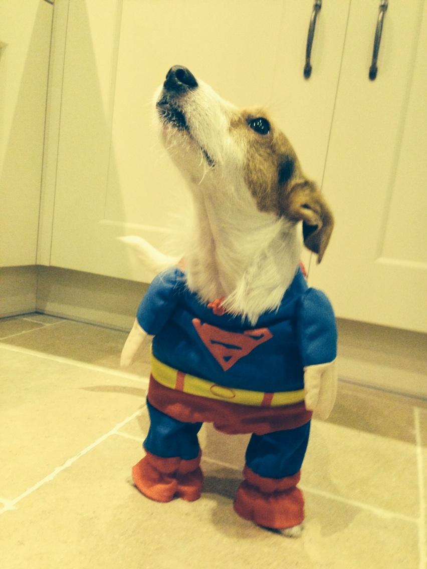 Fires Over Broadway tweet media