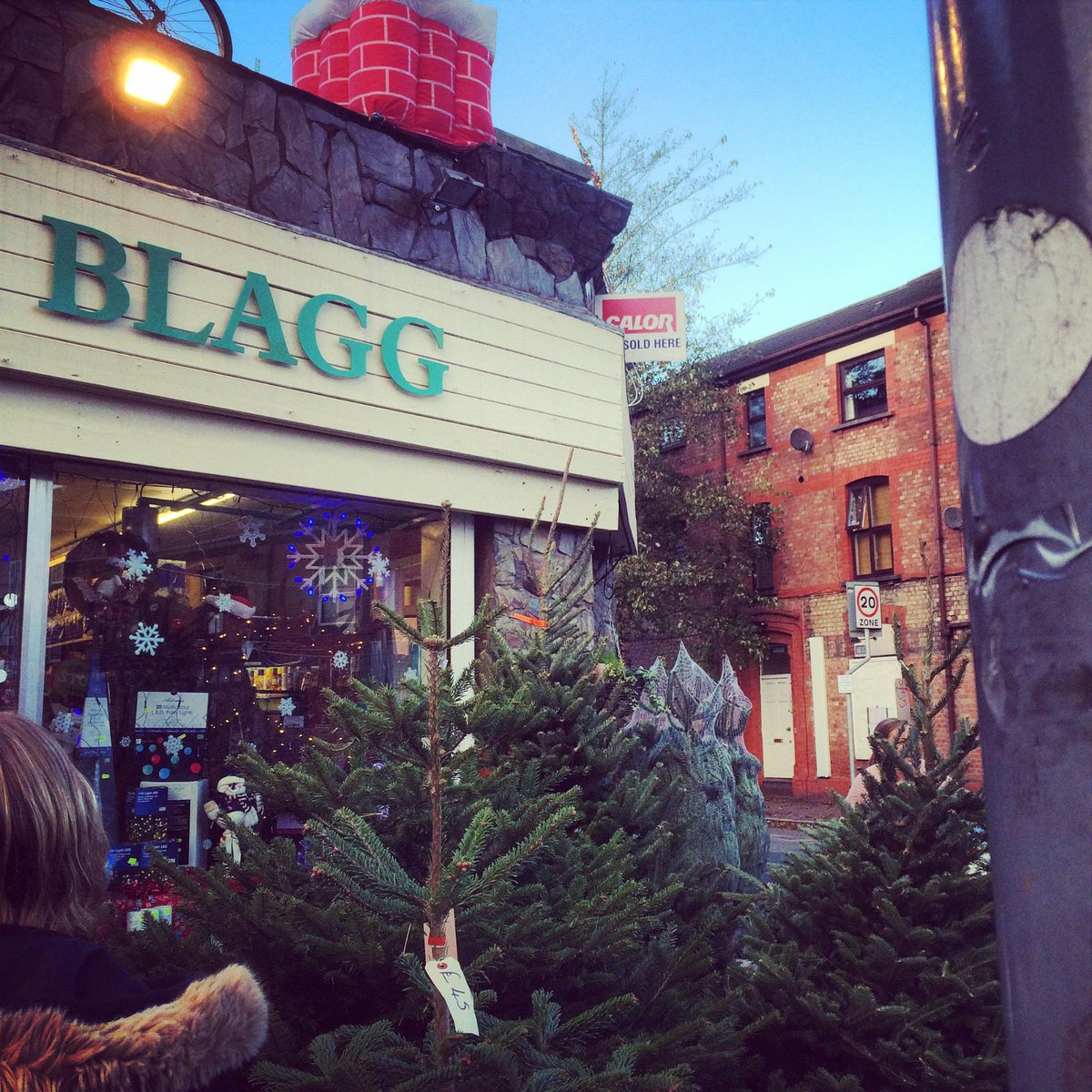 didsburylife's tweet photo. The trees are back on the road. December's here and that means it's officially Christmas #Blaggs W #Didsbury http://t.co/L9Wncbnmci