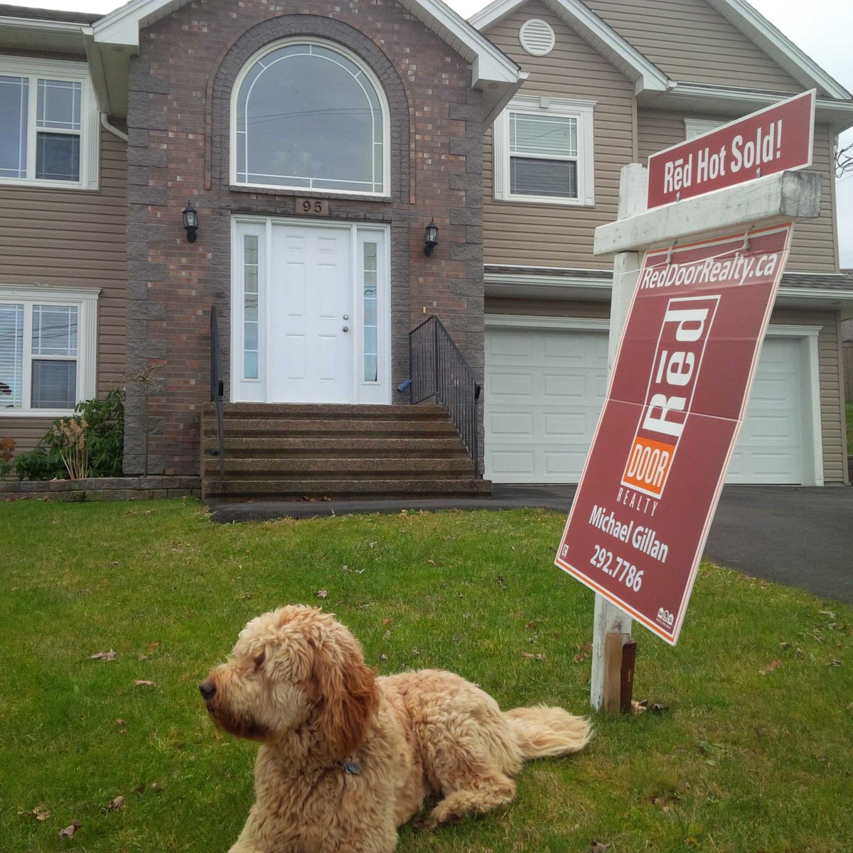 DrHouseMG's tweet photo. Despite a job well done, Murphy appears unimpressed at my recent sale in @sack_vegas #RedhotSold http://t.co/2DrwXDnfFw