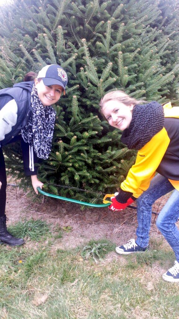 leecorbe's tweet photo. This is how #HamOnt #Ticat fans cut down their #christmastree. #OskeeWeeWee #cfl @Ticats #GreyCup http://t.co/8grW4YeHFz