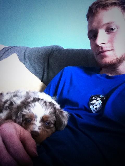 AustinDavin's tweet image. Just watching football with roux, she's only 6 weeks old and loves it as much as me
