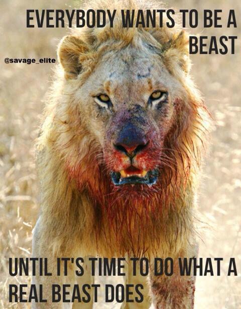 Savage_Elite's tweet photo. Everybody wants to be a beast http://t.co/Nhw1Xk8G77