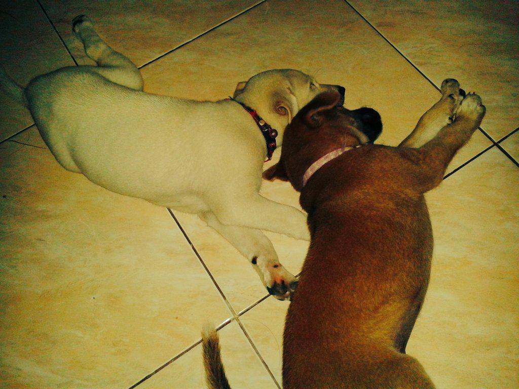 Ohhhh so cutes.....mommy love you ...