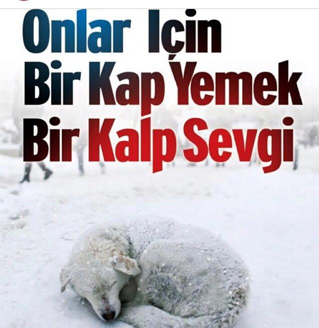 Galatasaray Interact (@gsinteract) on Twitter photo 