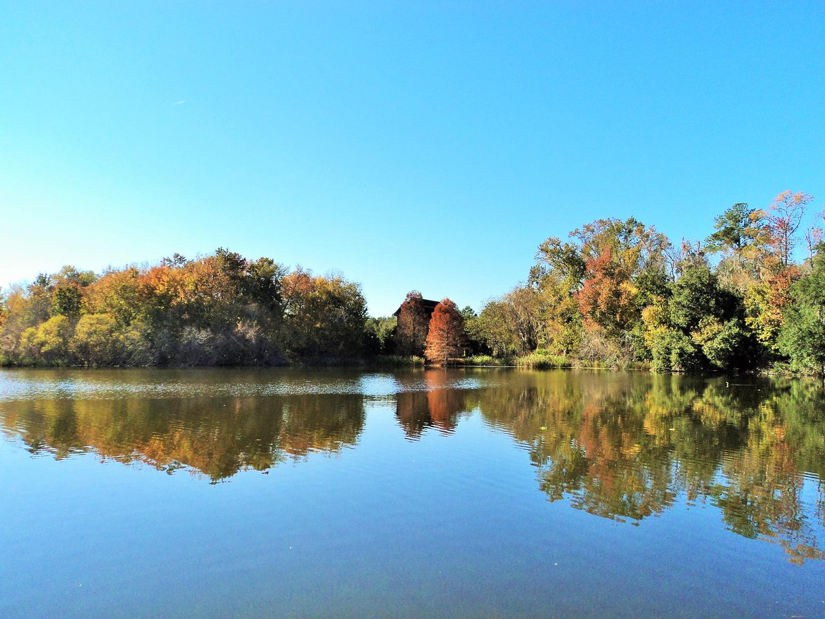 ashrafamshaqn's tweet photo. #Lake_Alice, #gainesville  , #Florida #USA #Alligator
#Ashraf_Amshaqn 
©Amshaqn @ashrafamshaqn http://t.co/OBaVwk2nTm