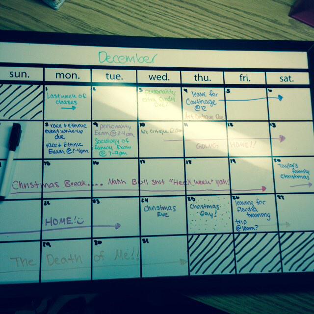 hooker_sydney's tweet photo. This is what the month of December looks like for me.....#allswim #nolife #busybody http://t.co/4L0qvs5CLU