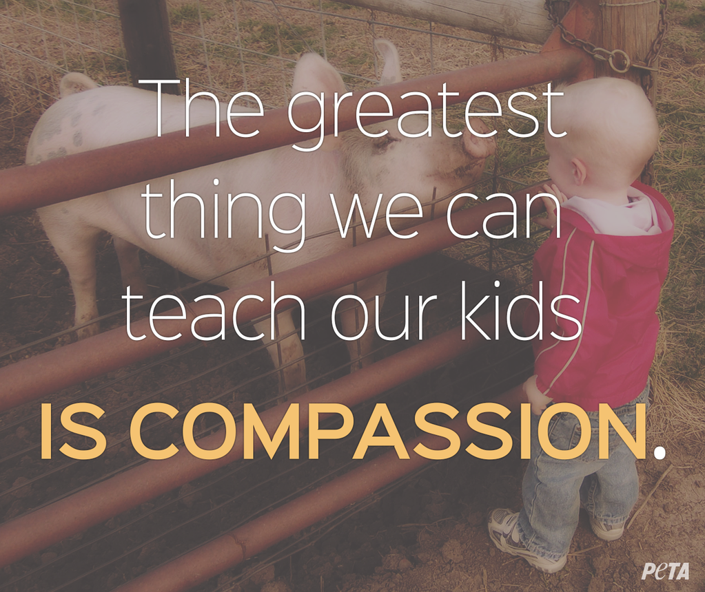 GoodsForGoodCo's tweet photo. RT If You Agree! #Reasons2GoVegan #WorldVeganMonth #Organic #AllNaturalTag #children http://t.co/wR0rP1wGTo http://t.co/x5kA71JF9p