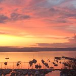 Photo by South Devon Business (@southdevon11)