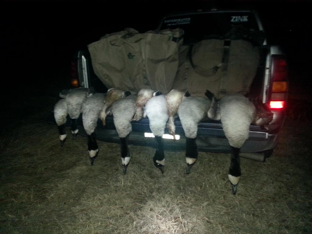 waterfowlerprob tweet picture