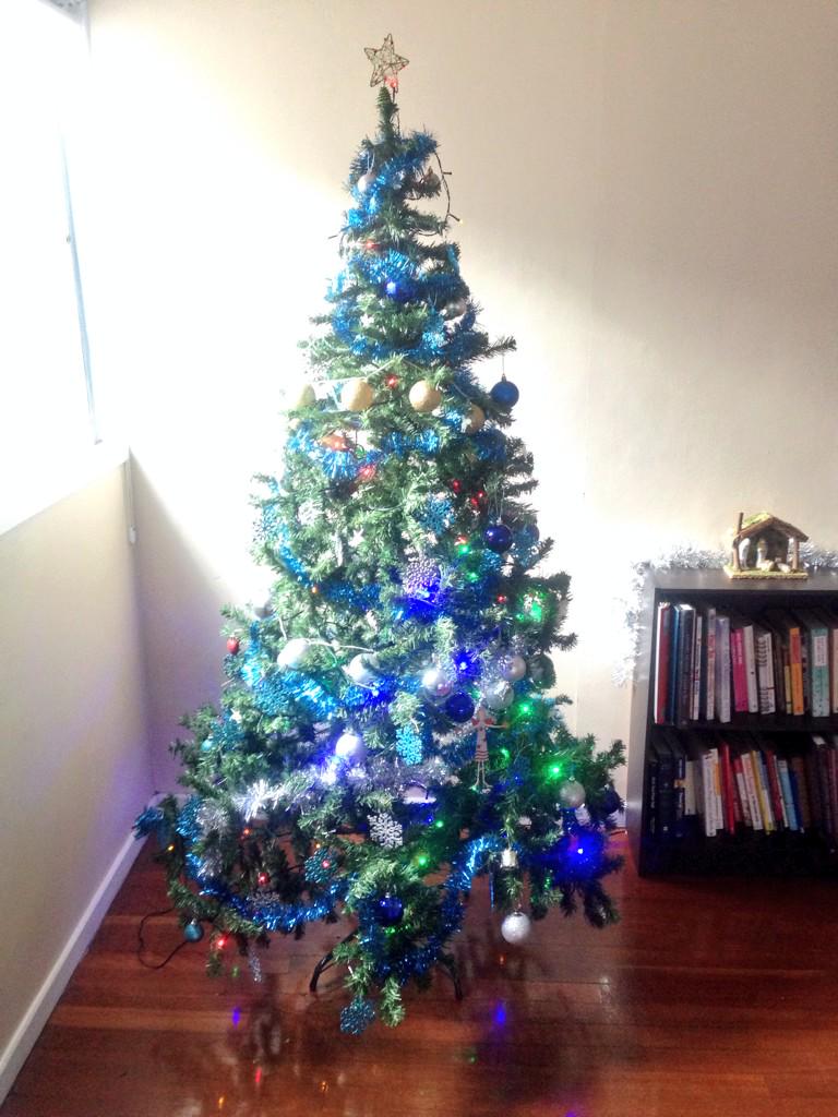 robert_freedom's tweet photo. #christmastree &amp; house all set up for #Advent thanks to a great family effort! #Christmas http://t.co/JFYP6fPefS