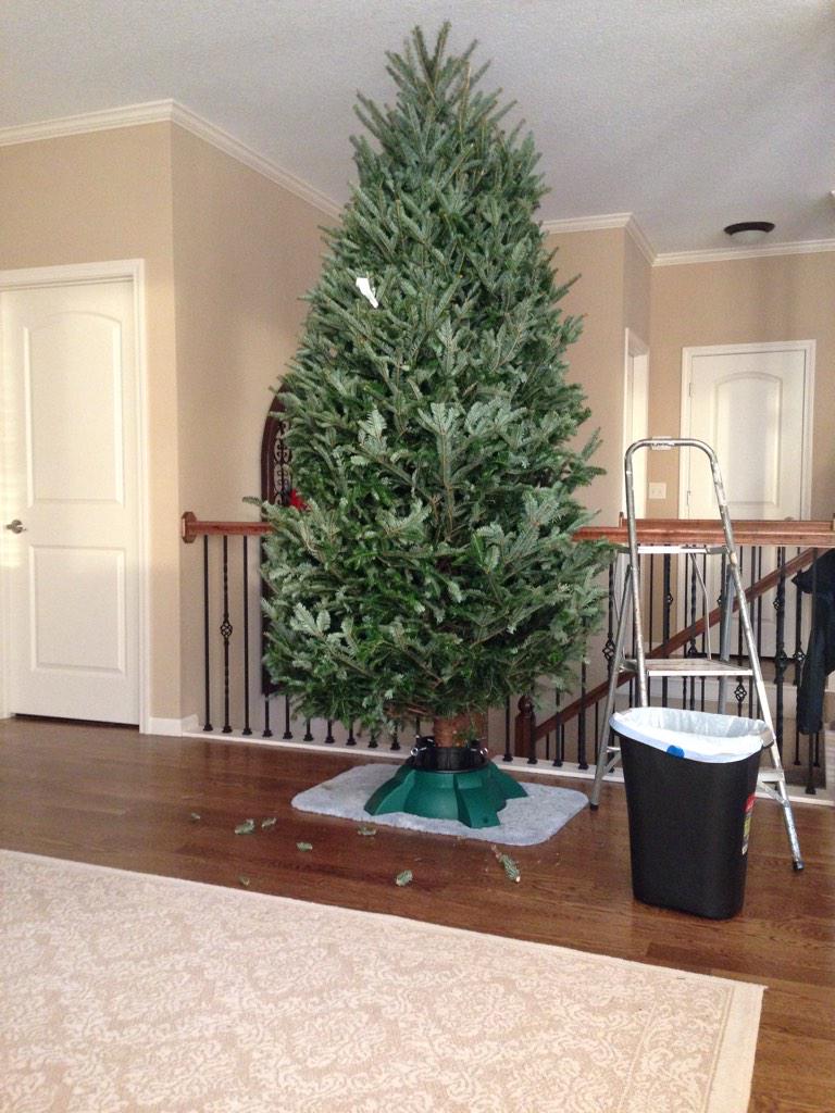 Stephanie Hoffmann tweet media