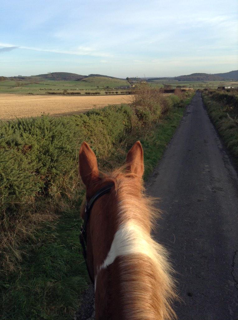 HorseandRiderUK's tweet photo. "@aliciaingram23: @HorseandRiderUK only a tiny bit of the lovely Cheviot hills we have to hack around! http://t.co/rmodAPwhCN"#winterhacking