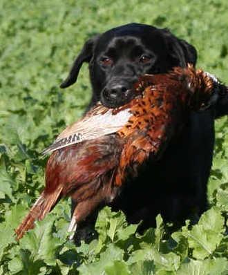 BenSearch's tweet image. Jesus