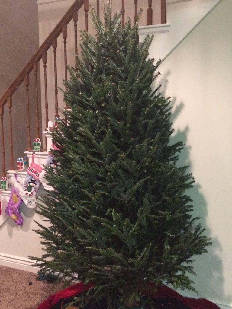 nitacarr's tweet photo. Got a real tree for the first time ever! #TreeMurderer http://t.co/TR444TOCHj