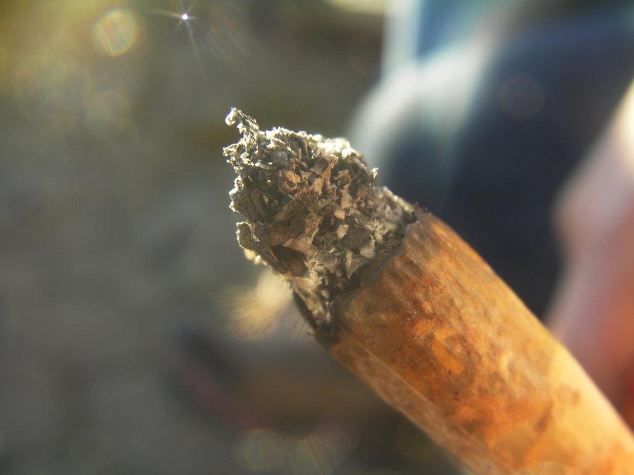 GanjaToke's tweet photo. Puff Puff Pass #ganjatoke http://t.co/g0pWkCYg09