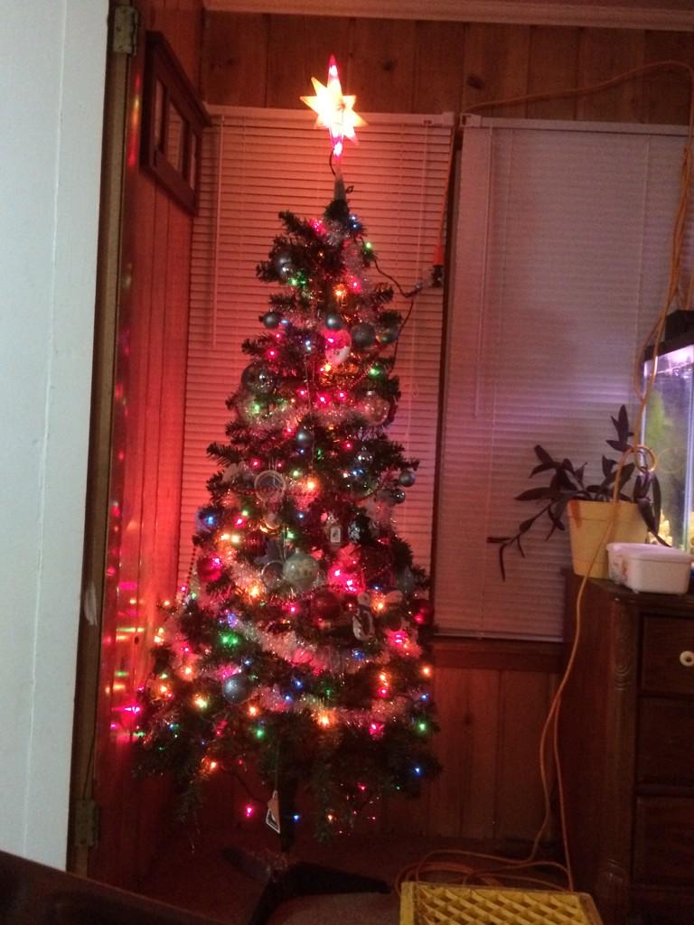 CaseyRuby1's tweet image. Getting set up for Christmas @Tdavi4