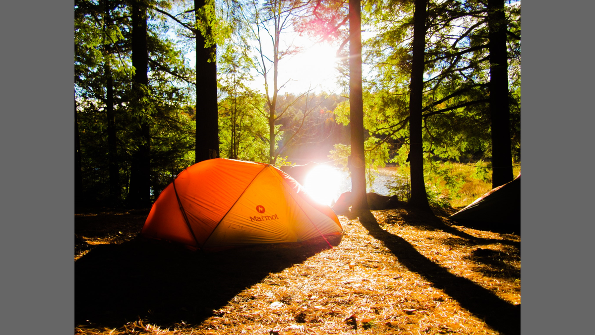 #mywildCanada , #ORGEAR , #KCHappyCamper
A Sweet campspot in Algonquin.