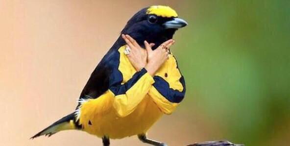 spoon_BDB's tweet photo. "@CuItureMind: when someone calls me by my twitter name http://t.co/HXOv6pKWwN" @Phil_W25 @BryerPorter @thighpie