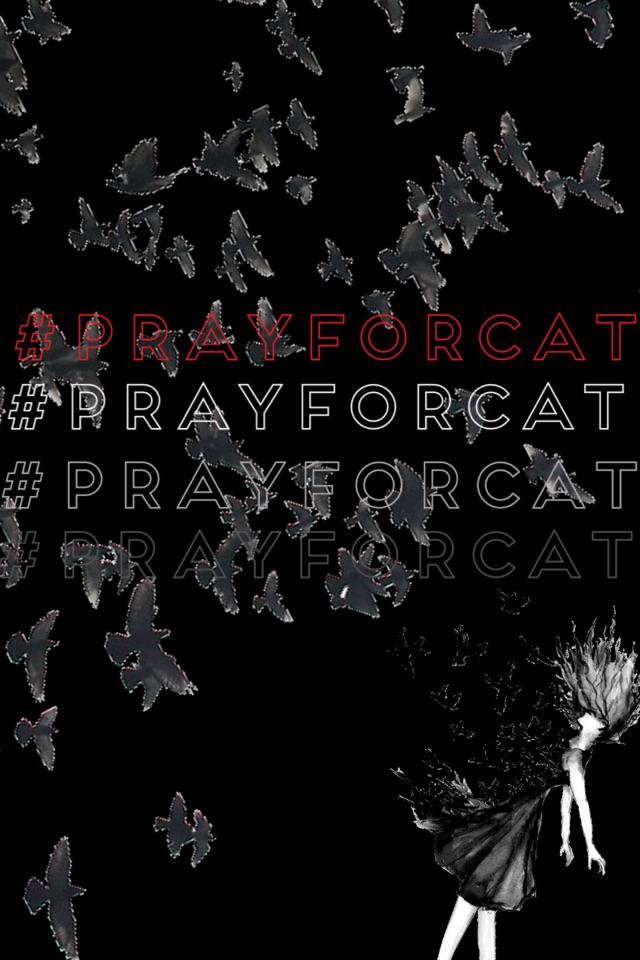 losingpoint's tweet image. Nice collage! pic-collage.com/_wdLgcp44