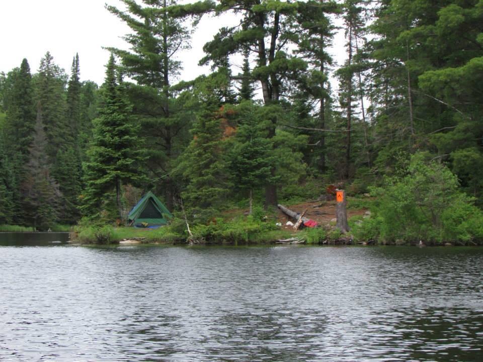 levacas's tweet photo. @ORGEAR #mywildCanada #KCHappyCamper #orgear Best Campsite Tom Thomson L @Algonquin_PP post card perfect! http://t.co/un58dbtVFe