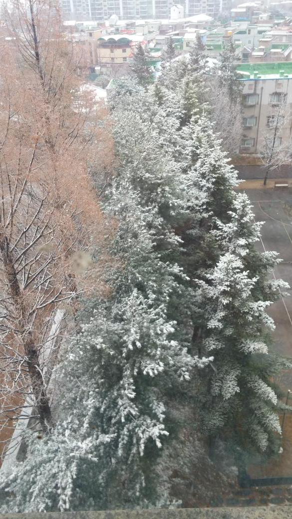 눈이 쌓였어요~~