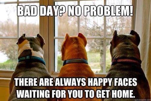 THANK YOU FOR EVERYONE THAT IS FOLLOWING US HOPE THE INFO WE POST HELPS SOME ONE AND PLEASE JOIN OUR GROUP ON FB