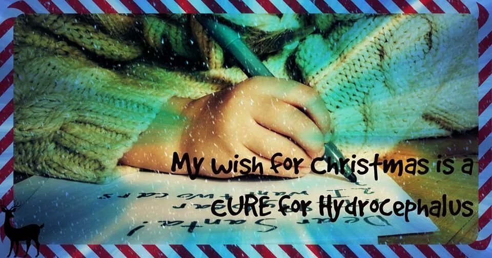 WI_PedHydroKids's tweet photo. My daughter's wish not only this Cson but everyday! #findacure #hydrocephalus #hydrohero @HicEgoSum @neurocirurgiabr http://t.co/VuhzEWKRoY
