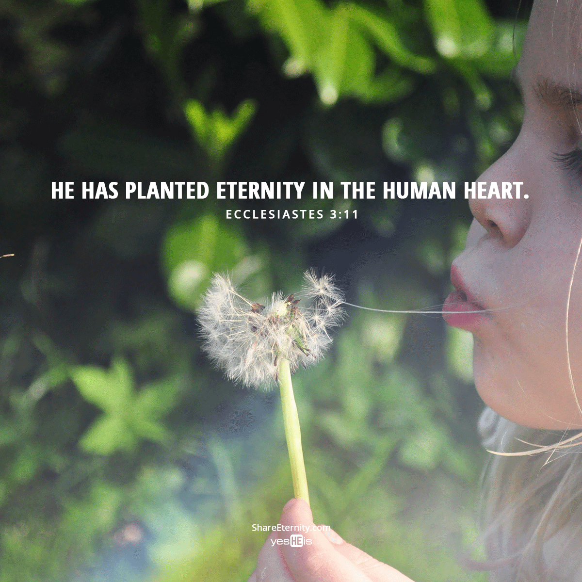 yesHEis's tweet photo. God has given mankind a sense of future and curiosity about what goes on beyond the grave. #ShareEternity http://t.co/eK3sErbtEz