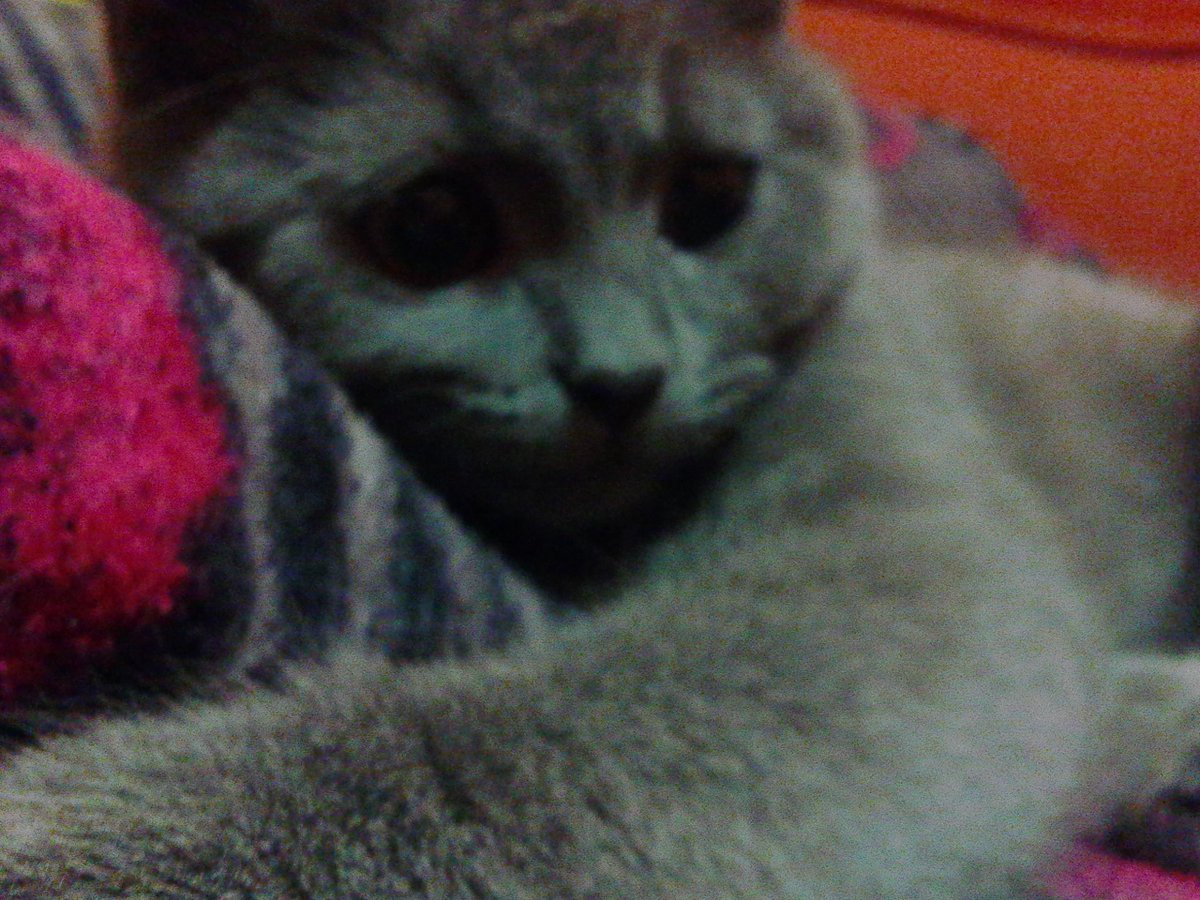 niku14enko's tweet image. Оу #доброеутра