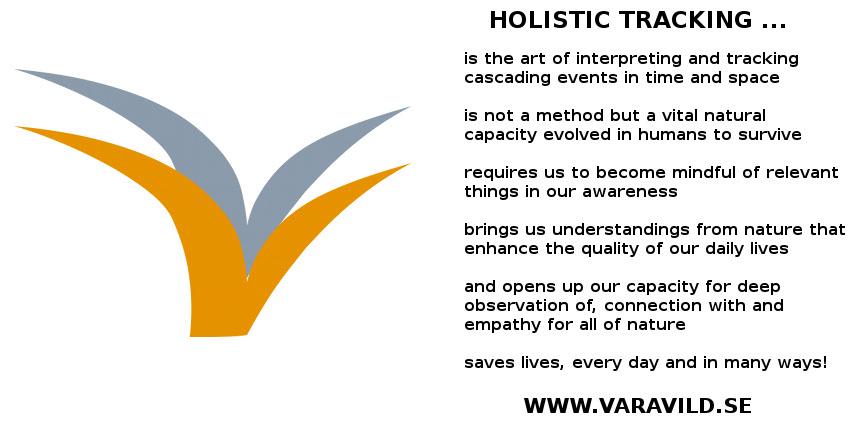 VaraVild's tweet image. #HolisticTracking ...