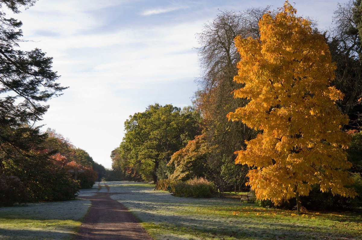 Forestry England tweet media