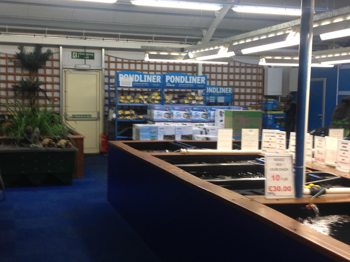 gordon_low's tweet photo. Some lovely Pond Liner stands at @RipplesWater Tamworth and all full our our @SealEco EPDM Pond Liners...... http://t.co/xbq8mlevnb