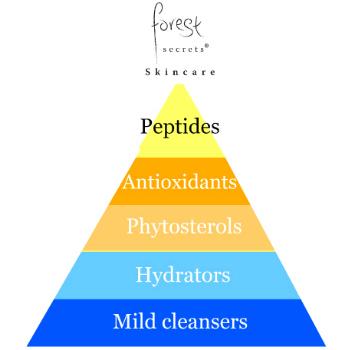 ChantalCooke's tweet image. RT @forestsecrets: What matters most in skincare? Find out: forestsecretsskincare.com/skincare-pyram…  &amp;amp; quote 'passion' for 25% off