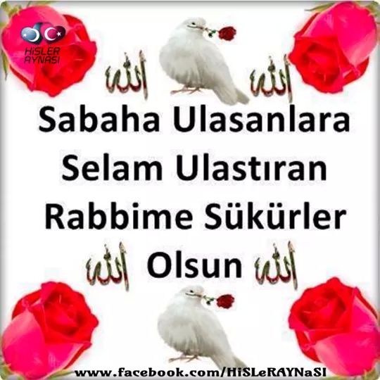 Yeni Bir Güne
Yeni Bir Haftaya
Yeni Umutlara
Bismillah

GÜNAYDINNNNN
Güzel Yurdumun
Güzel Yürekli İnsanları
