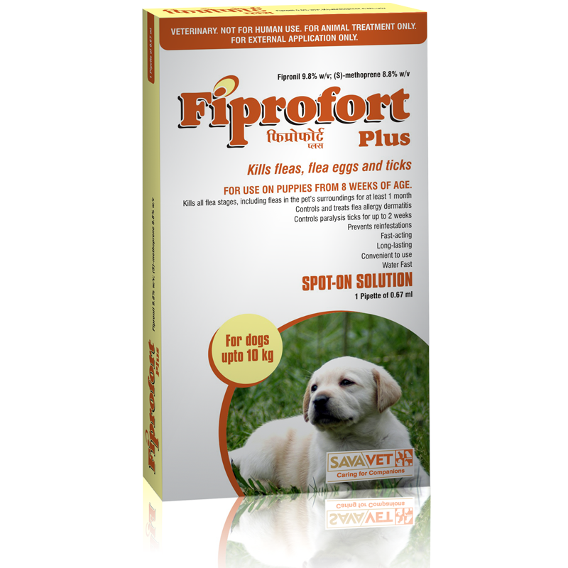 SAVAVet's tweet photo. Best Solution for Small #Dogs #Fleas and #Ticks Control >> #FIPROFORT PLUS SPOT-ON...

http://t.co/HAN8iH4ceT http://t.co/kh0hRpXG3K